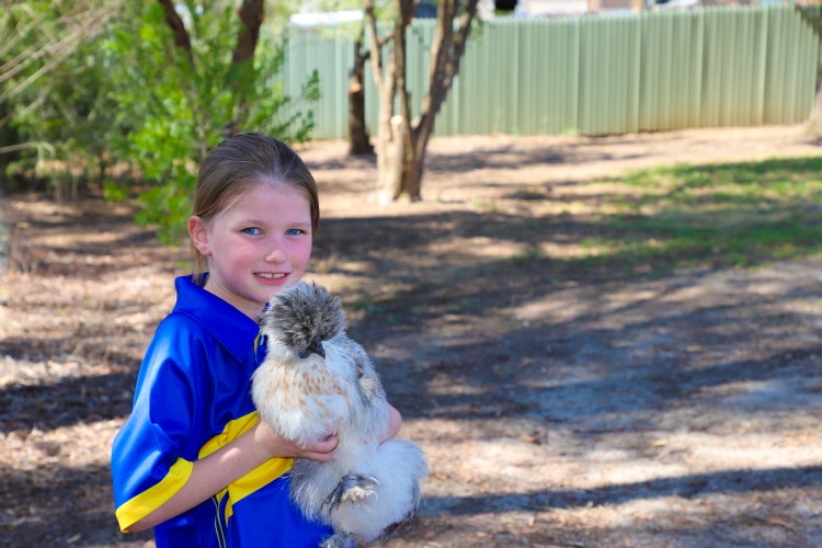 Student holding a chicken in the playground
